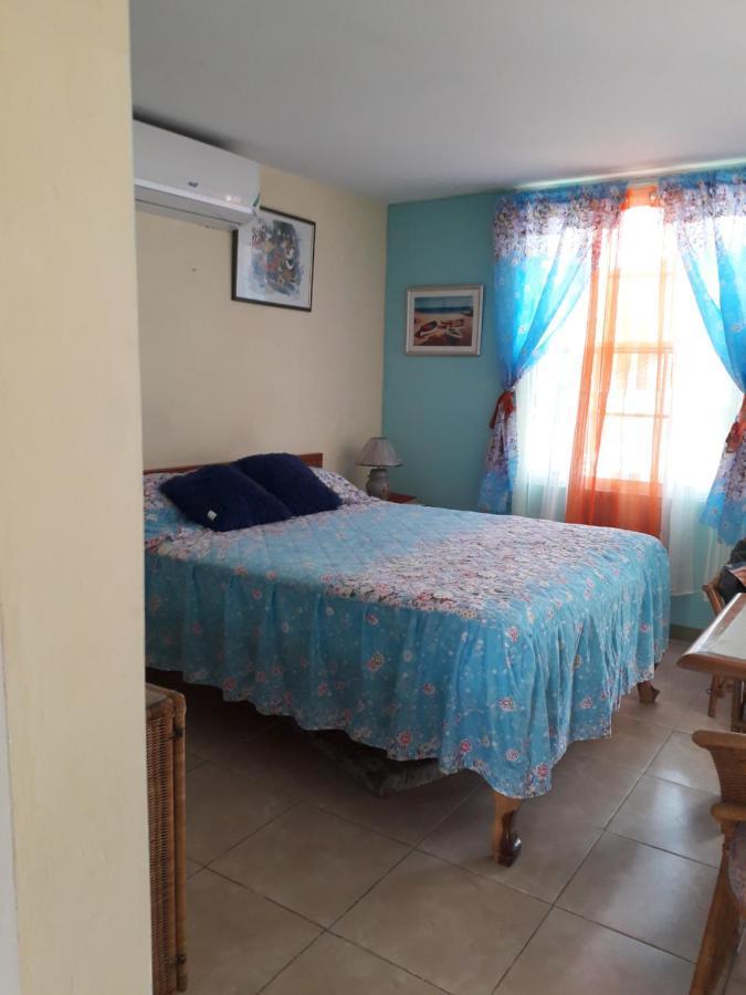 Seacastle deluxe studio Montego Bay Esterno foto